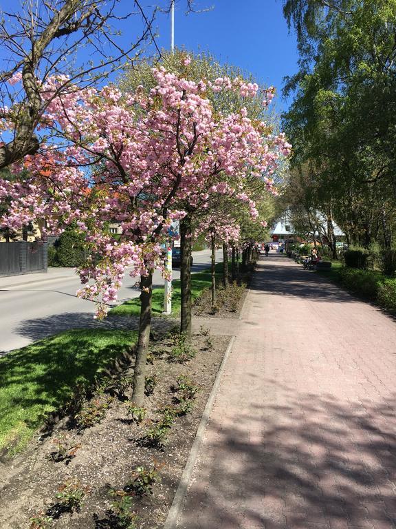 Apartamenty Nad Potoczkiem Ustroń Eksteriør billede